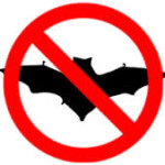 about us - no bats image